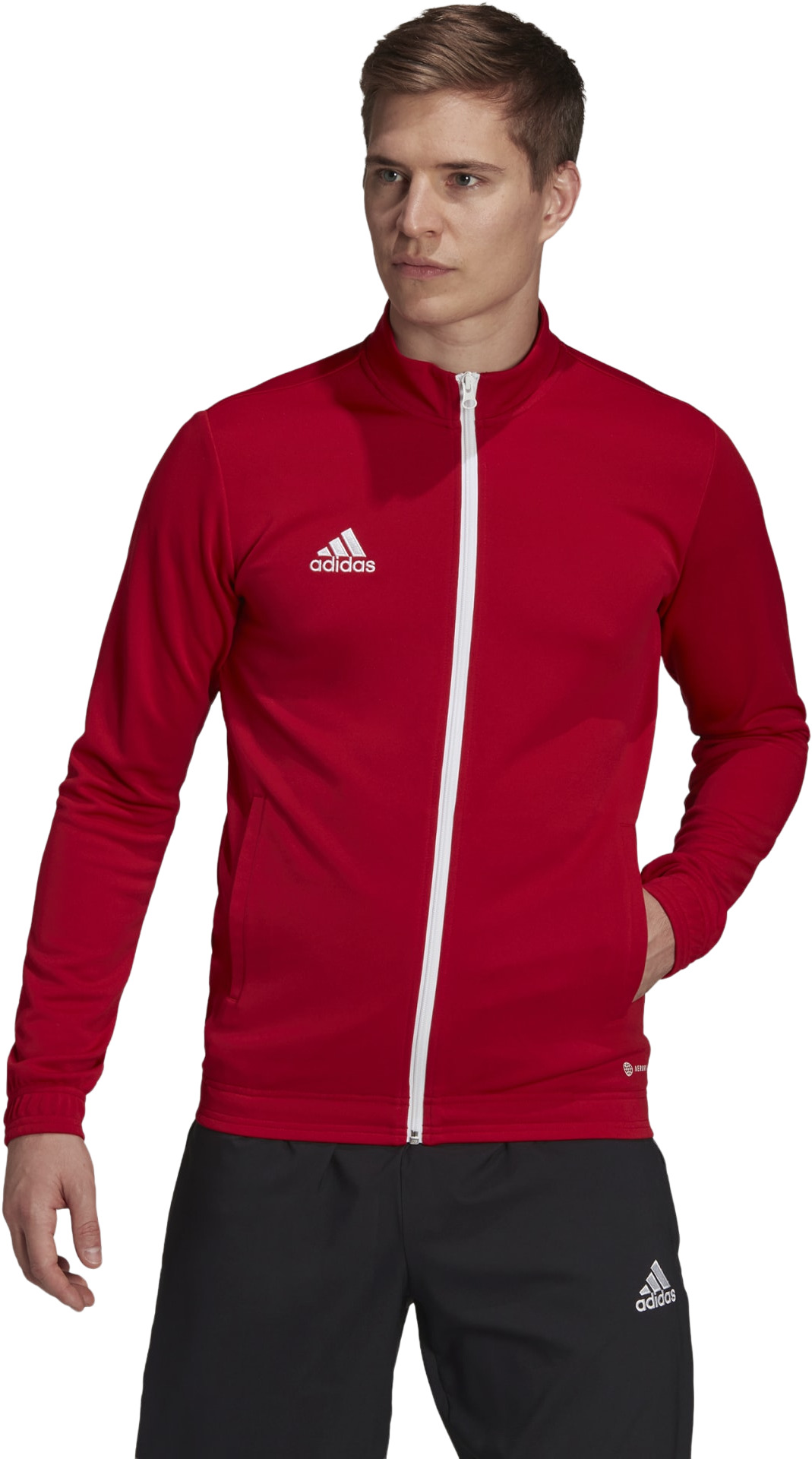 

Олимпийка мужская Adidas H57537 красная LT, H57537