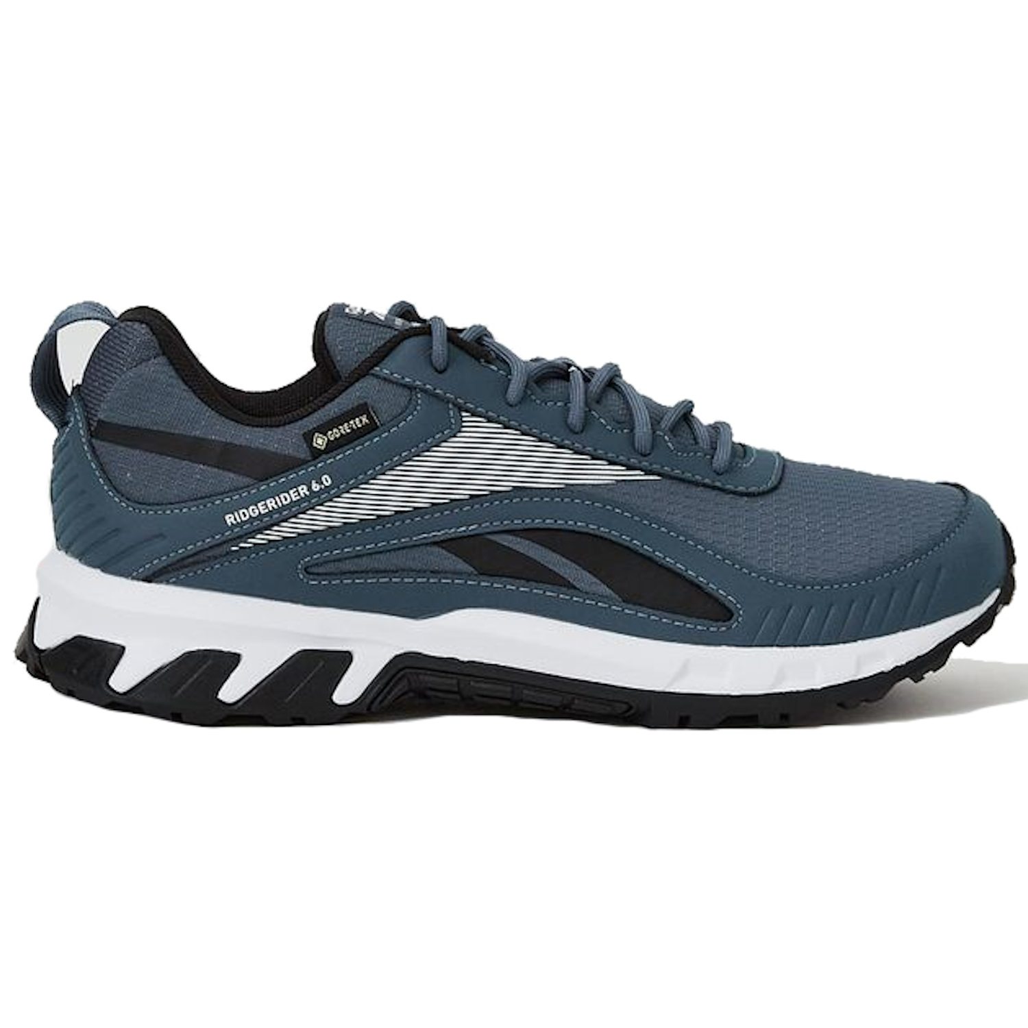 Кроссовки мужские Reebok RIDGERIDER 6 GTX синие 44.5 EU