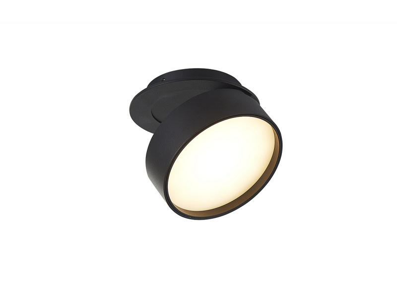

Встраиваемый светильник Donolux DL18959R12W1B