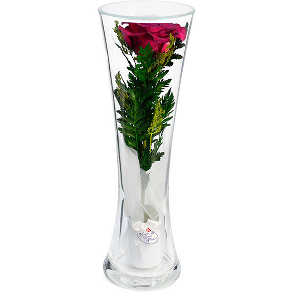 

Natural Flower Products Co. Роза в стекле CuHRd (22*7*7 см)