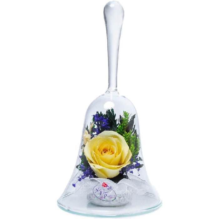

Natural Flower Products Co. Роза в стекле ObSRс (колба в виде колокольчика, 14*8*8 см), Прозрачный