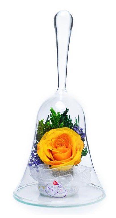 

Natural Flower Products Co. Роза в стекле ObSRy (колба в виде колокольчика, 14*8*8 см), Прозрачный