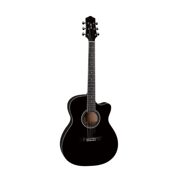 

Акустическая гитара Naranda TG120CBK, TG120CBK