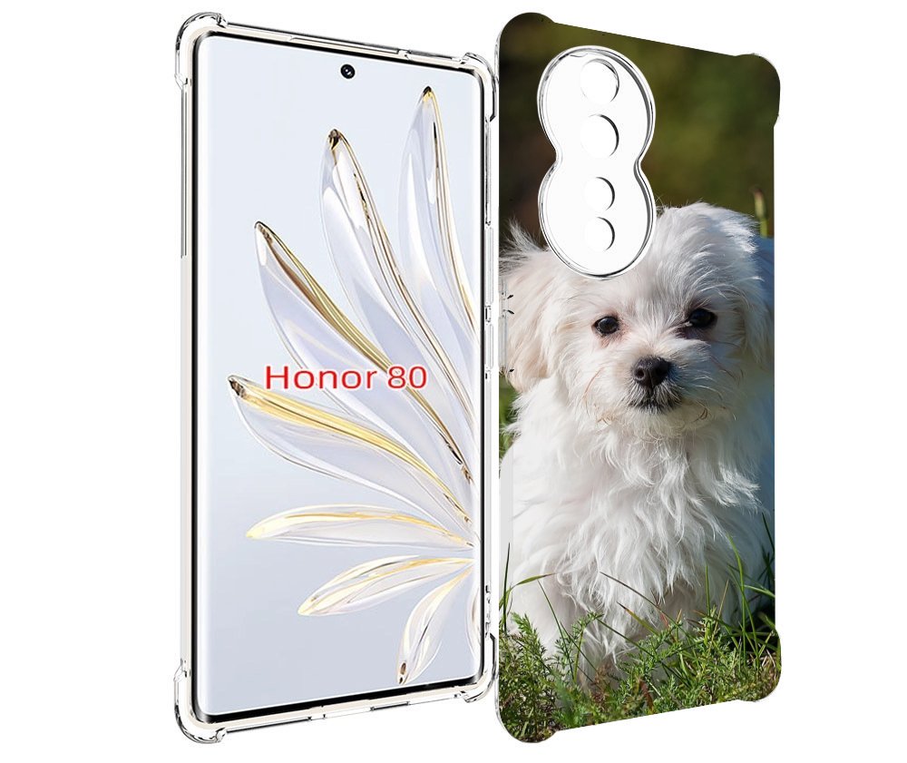 

Чехол MyPads мальтииская-болонка для Honor 80, Прозрачный, Tocco