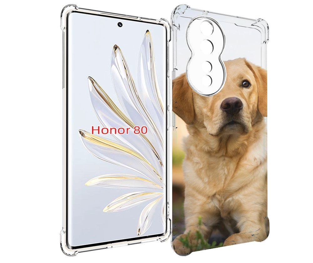 

Чехол MyPads лабрадор ретривер для Honor 80, Прозрачный, Tocco