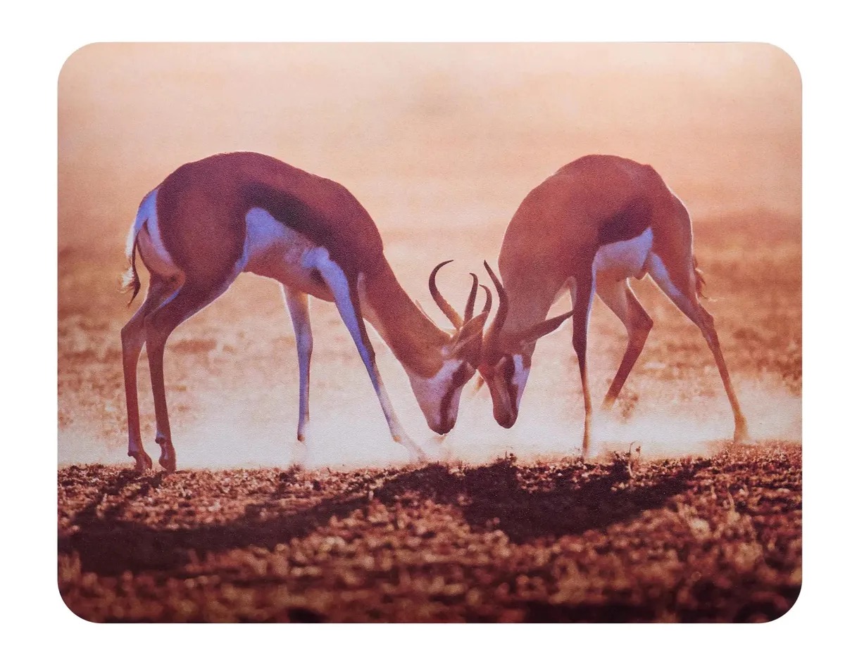 

Коврик для мыши Buro BU-M40077 S рисунок/антилопы, PVC, 230х180х2мм, Коврик для мыши Buro BU-M40077 (S) рисунок/антилопы, PVC, 230х180х2мм