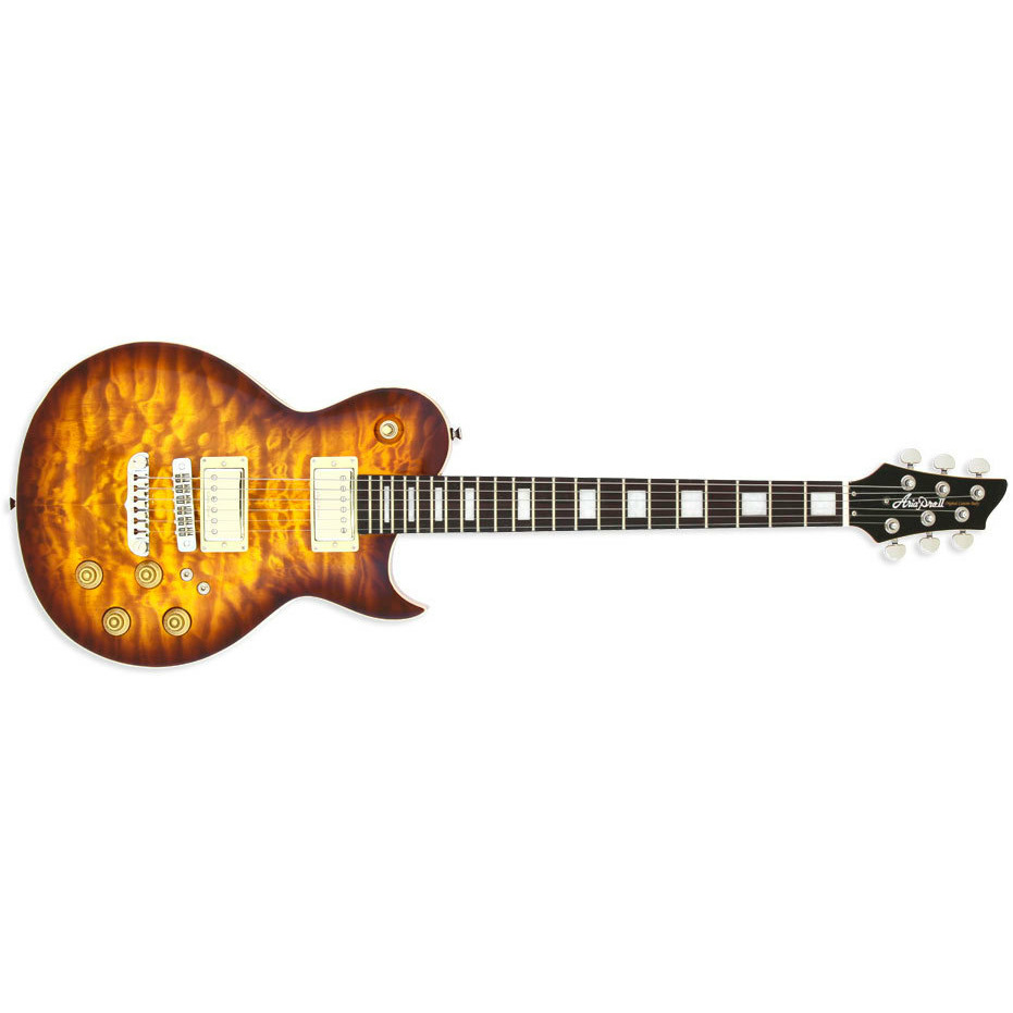 Электрогитара Les Paul ARIA PE-480 BS