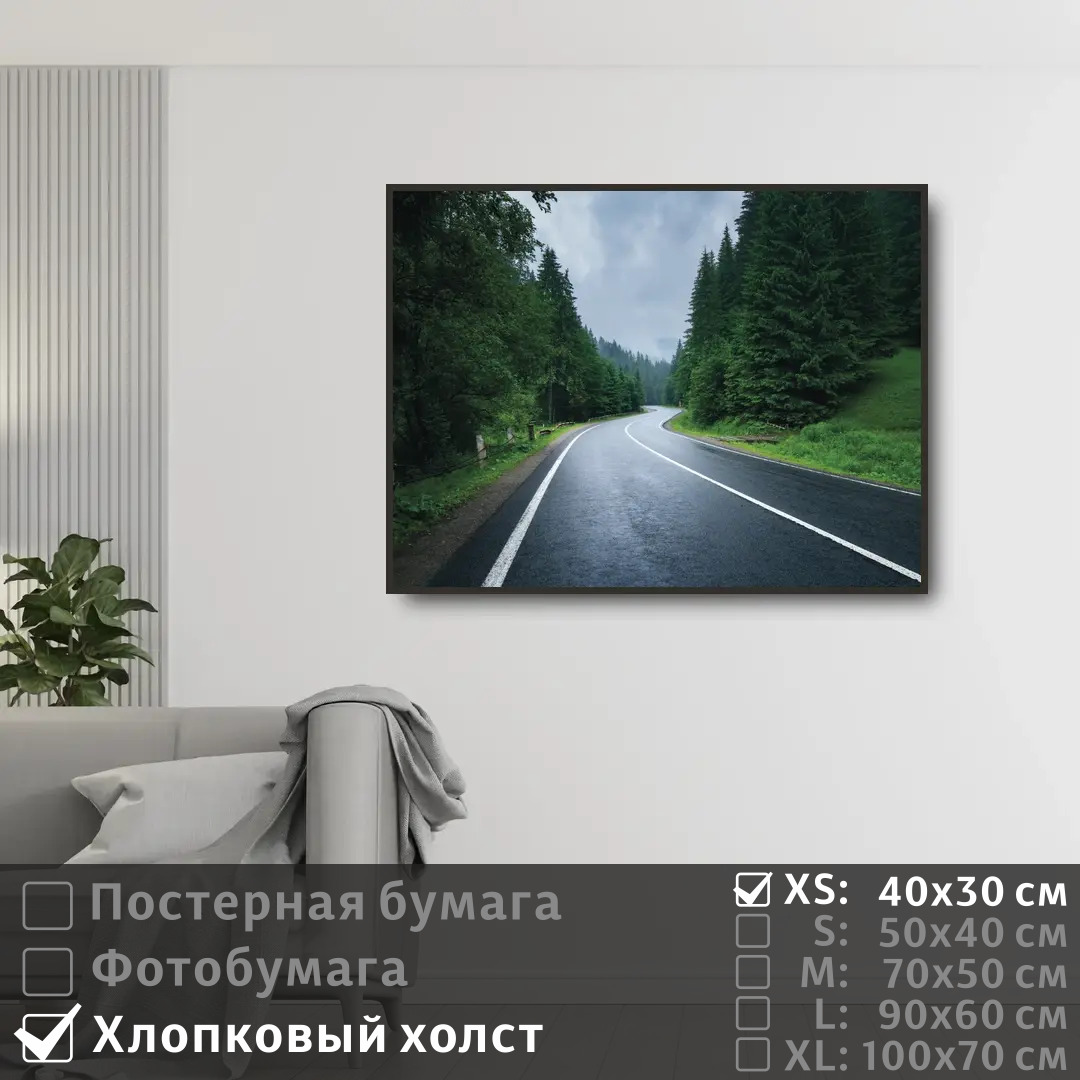 

Постер на холсте ПолиЦентр Дорога лес в тумане 40х30 см, ДорогаЛесВТумане