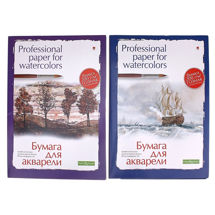 

Папка для акварели А3, 20 листов "Профессиональная серия", блок 200 г/м2, ГОЗНАК, МИКС
