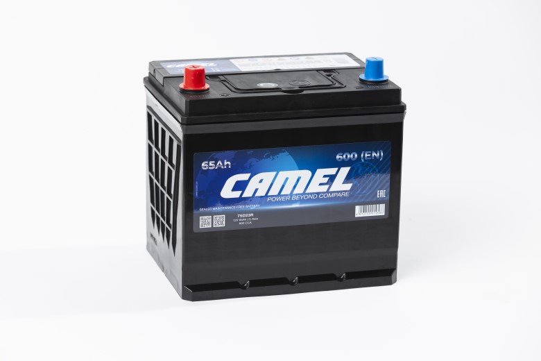 Аккумулятор camel Asia 6 СТ* 65 600А п/п (+/-) 229х175х202