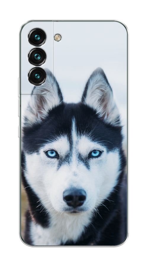 

Чехол на Samsung Galaxy S22 Plus "Хаски 2", Синий;белый, 2103950-1