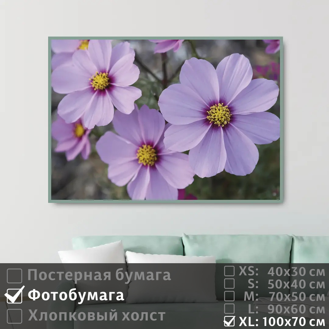 

Постер на фотобумаге ПолиЦентр Летние сиреневые цветы 100х70 см, ЛетниеСиреневыеЦветы1