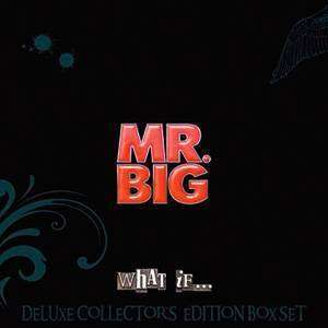 Mr. Big: What If... (Deluxe Fanbox-Set) (CD + DVD + LP)