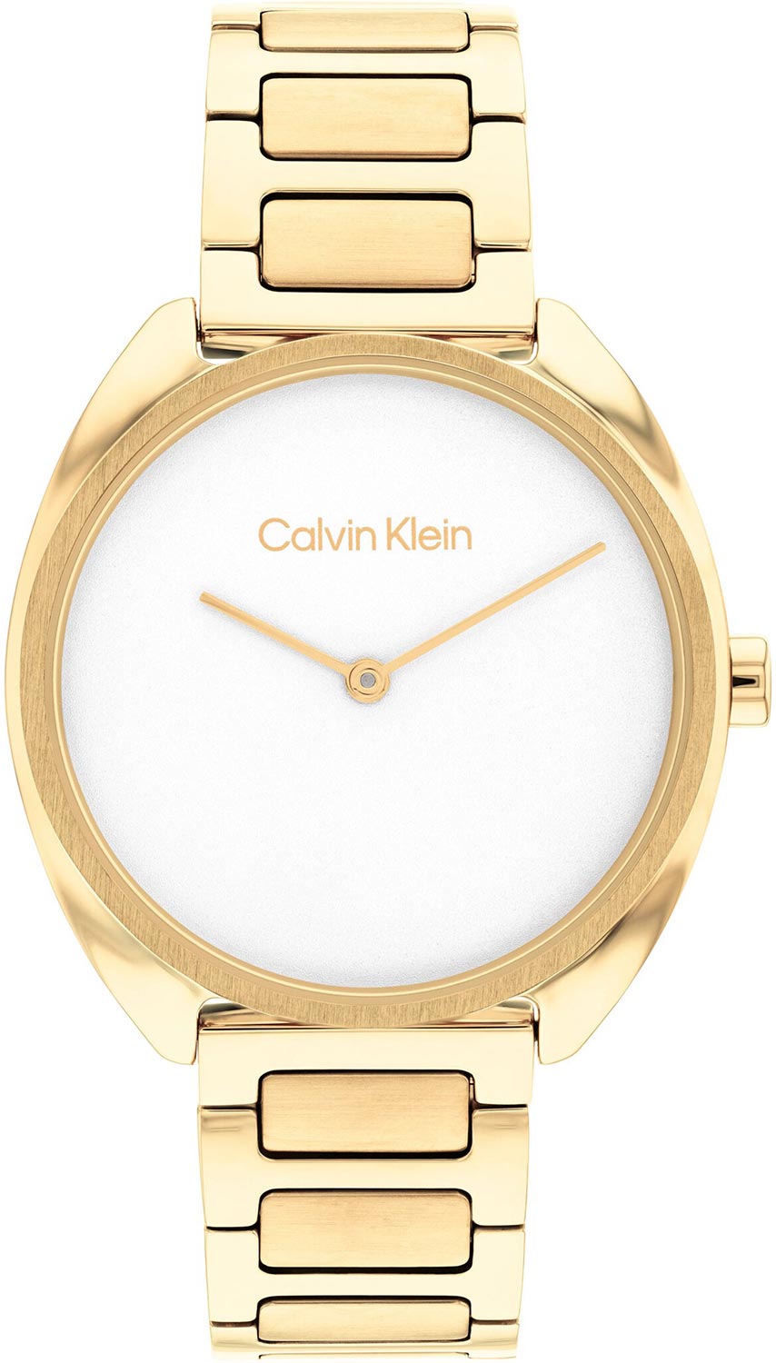 Наручные часы женские Calvin Klein 25200276