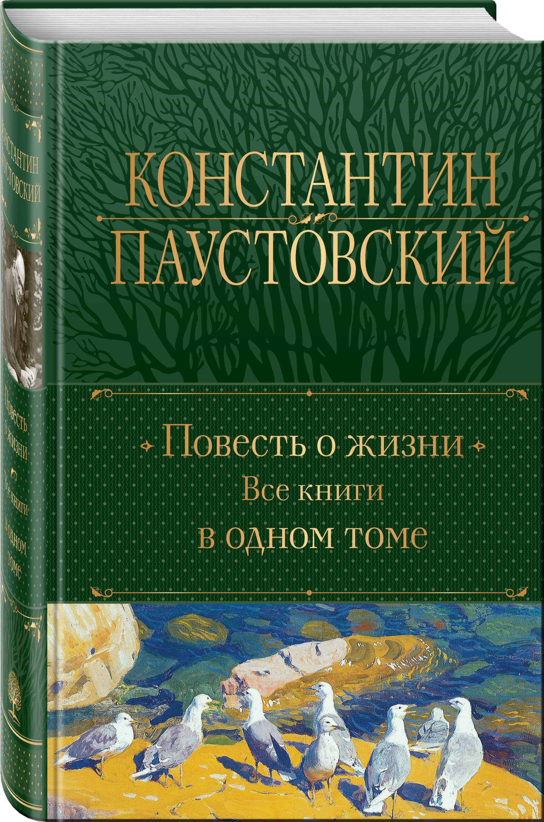 

Повесть о жизни Все книги в одном томе