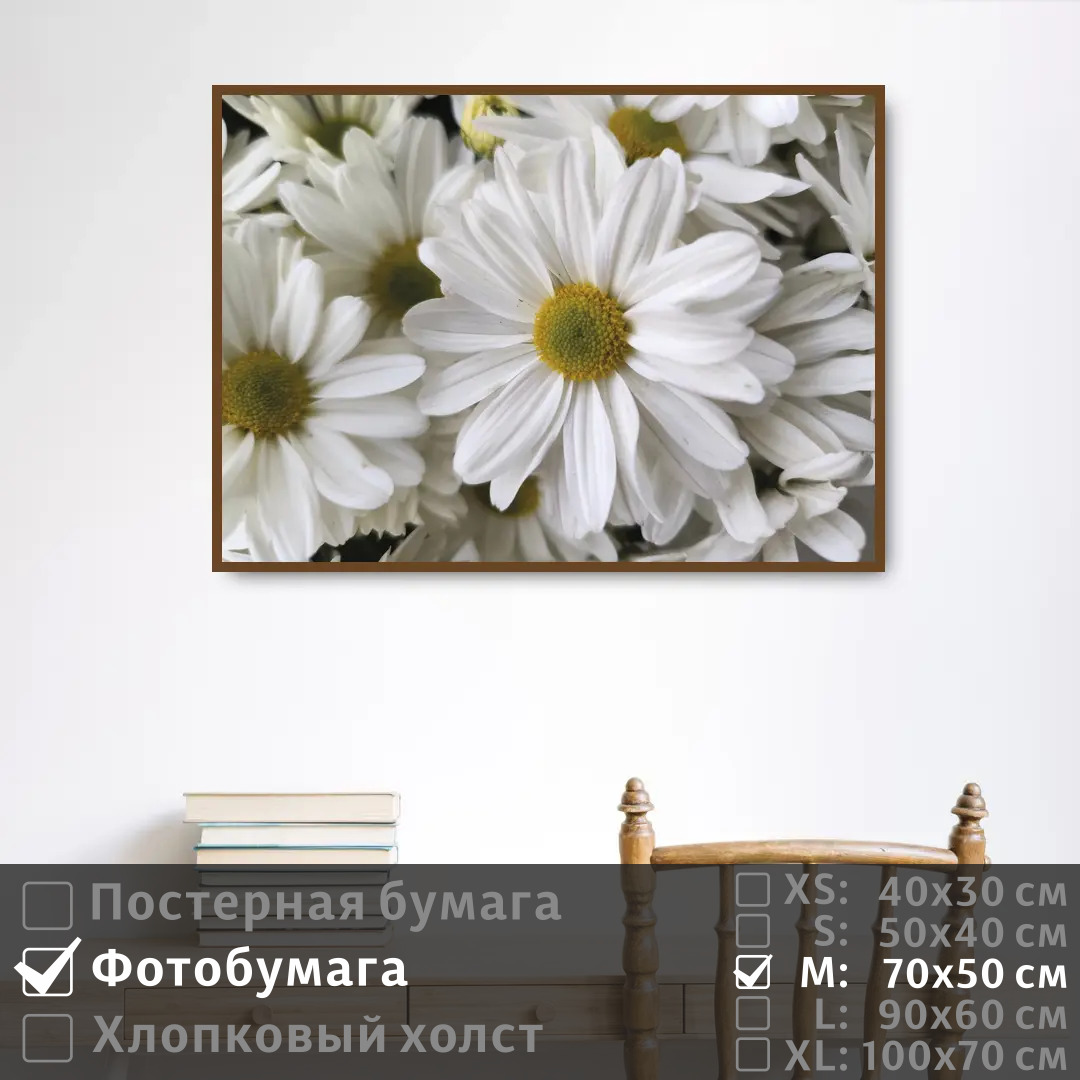 

Постер на фотобумаге ПолиЦентр Белоснежные ромашки 70х50 см, БелоснежныеРомашки
