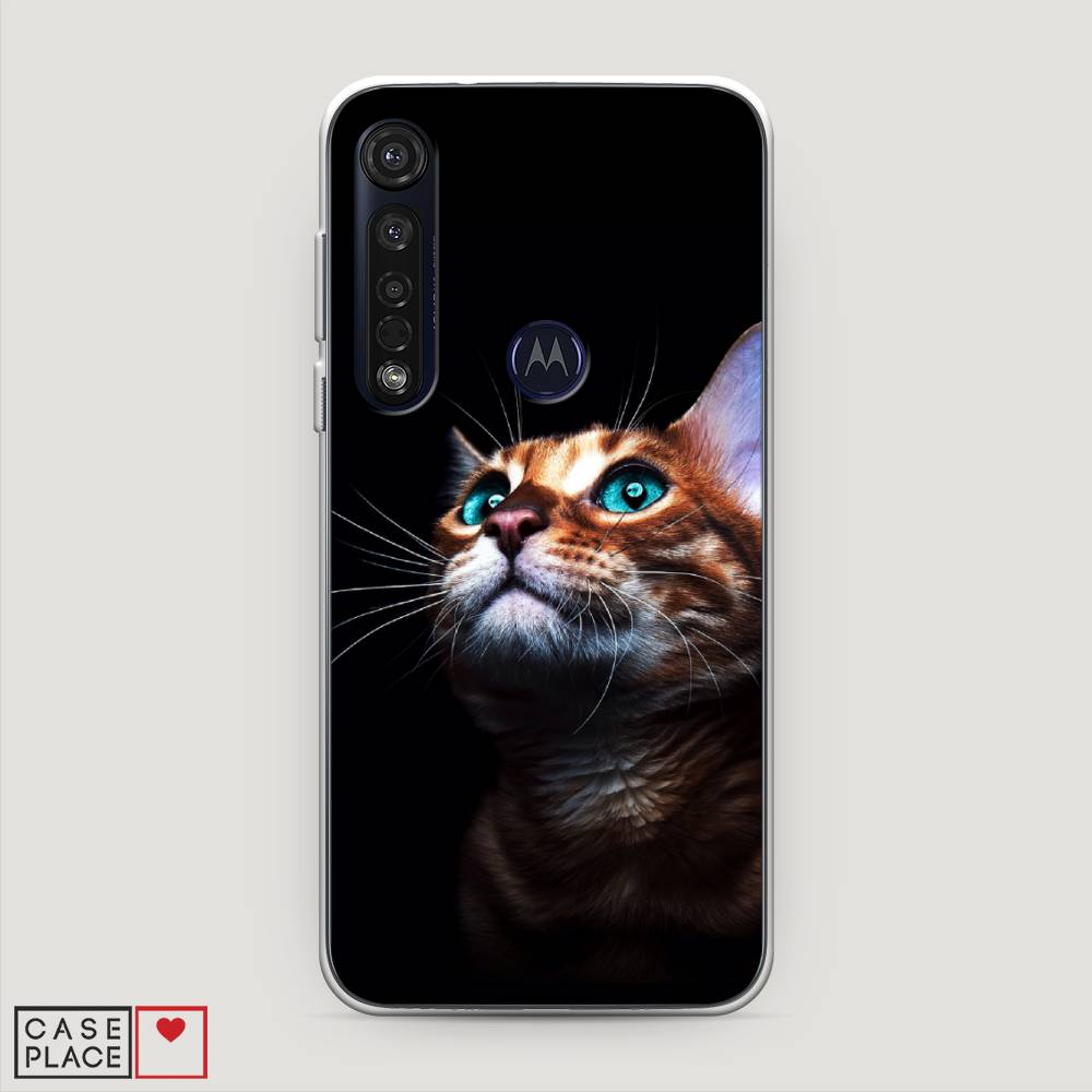 

Чехол Awog на Motorola Moto G8 Plus / Моторола Мото G8 Plus "Мечтательный кот", Разноцветный, 241450-1