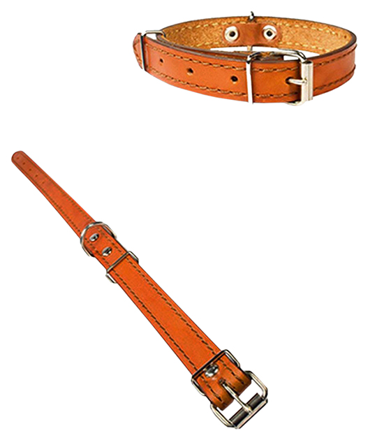 Ошейник для собак Дарэлл Стандарт кожаный простой 1 слой, рыжий, 20 мм, 34-44 см
