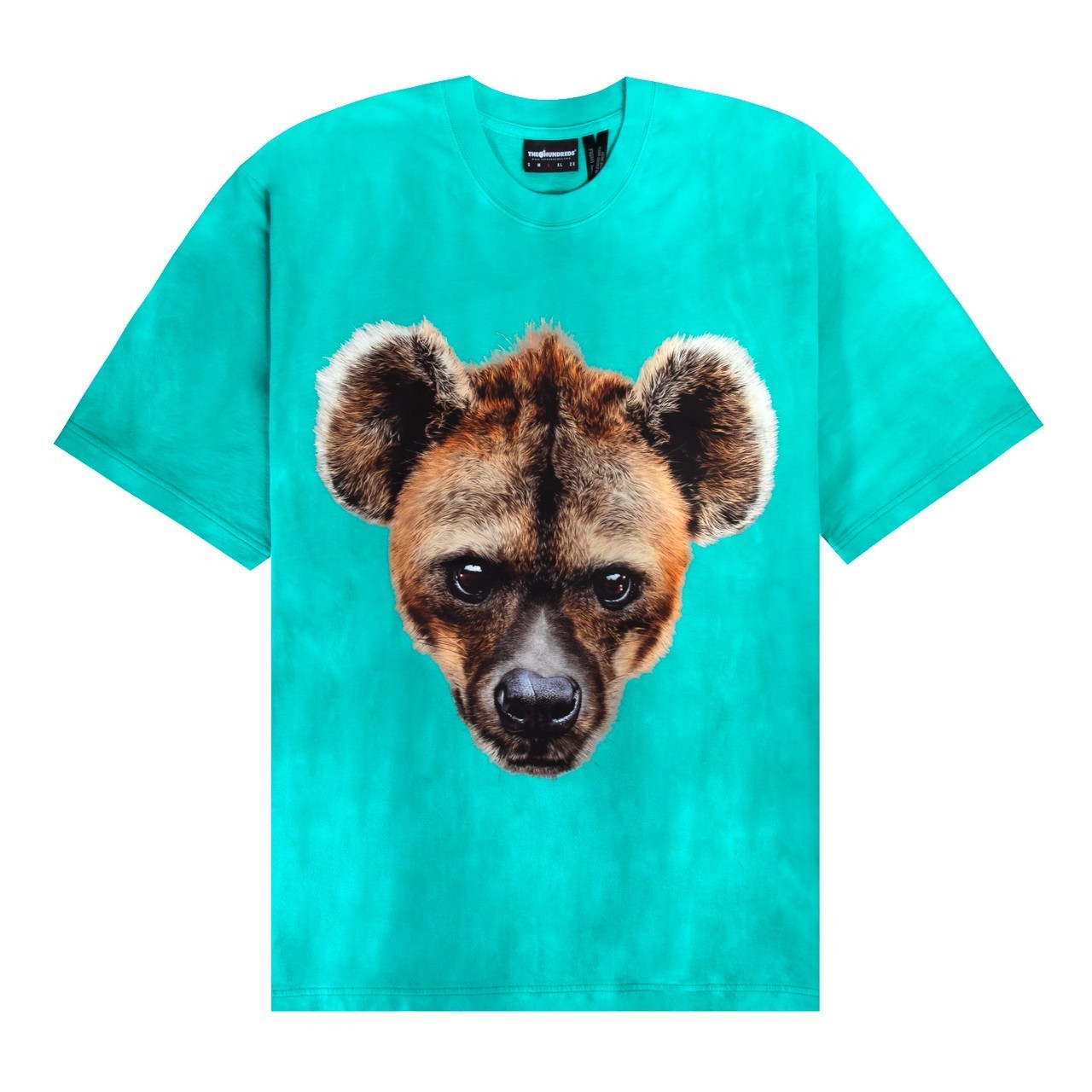 Футболка мужская The Hundreds T23P109003_TEAL зеленая L