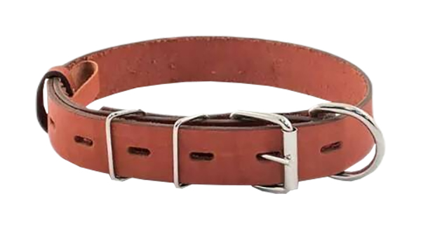 фото Ошейник для собак рекс кожаный коричневый, 10 мм, 30 см