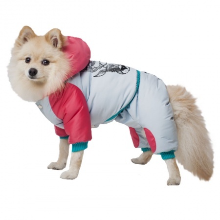 Комплект полукомбинезон и куртка ZooExpress DogVille 52625д, с капюшоном, на кнопках, зима
