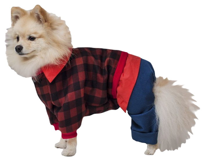 

Костюм с джинсами ZooExpress DogVille 31330у, на кнопках, демисезон