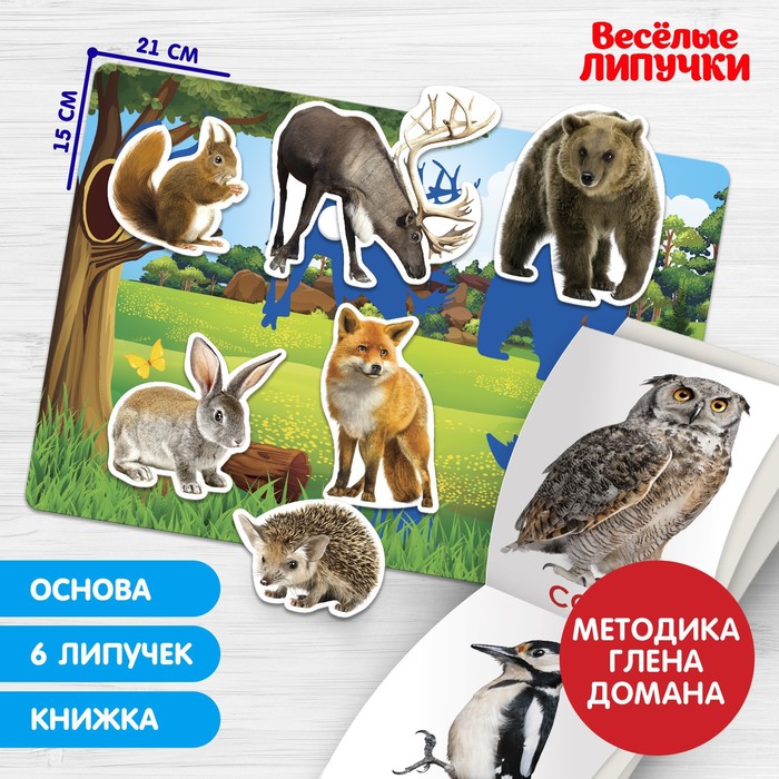 

Весёлые липучки Игра на липучках «Изучаем мир лесных животных», методика Домана