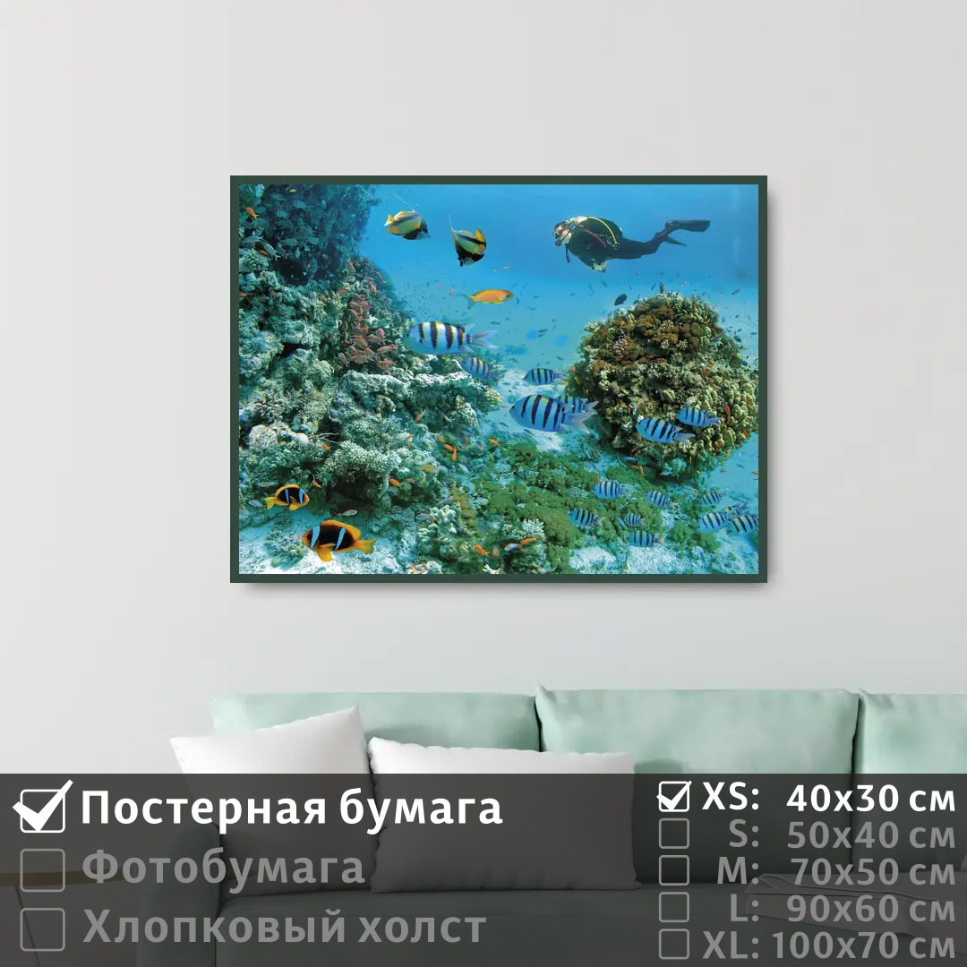 

Постер на стену ПолиЦентр Морские рыбы под водой с дайвером 40х30 см, МорскиеРыбыПодВодойСДайвером