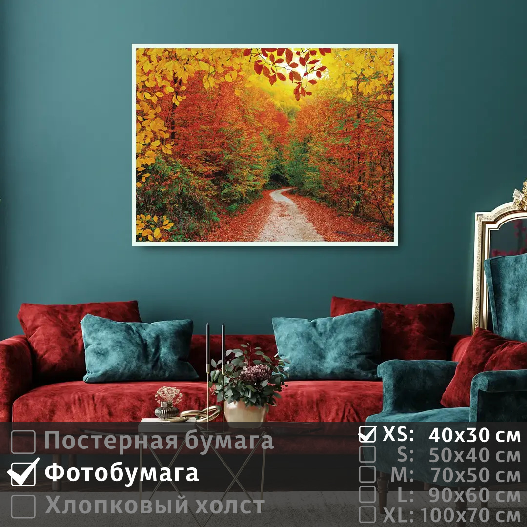 

Постер на фотобумаге ПолиЦентр Дорога в осеннем лесу 40х30 см, ДорогаВОсеннемЛесу