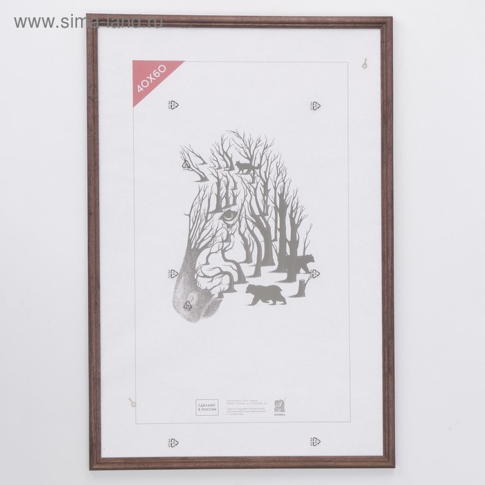 

Zebra Фоторамка дерево 40х60 см (1702) (пластиковый экран), Коричневый