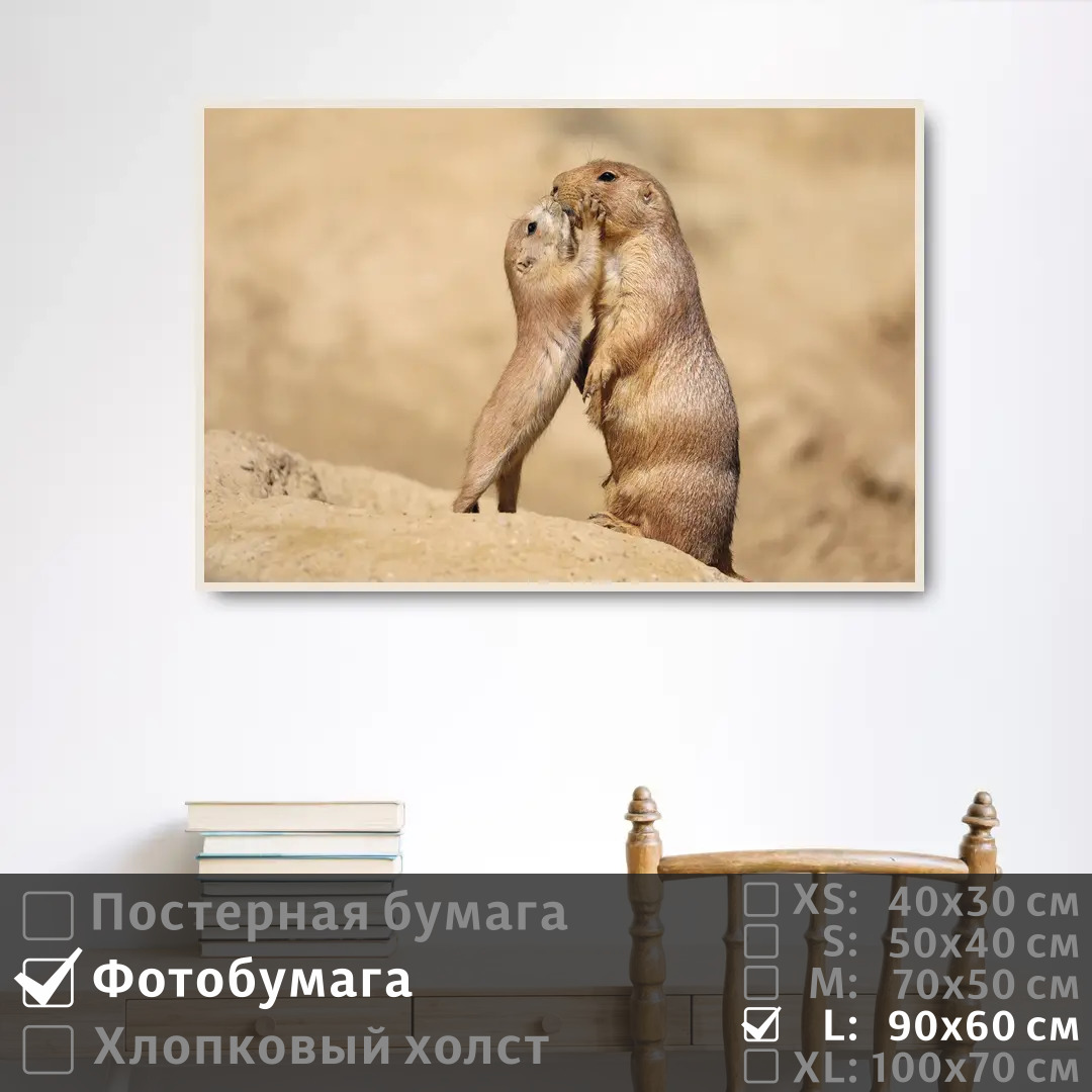 

Постер на фотобумаге ПолиЦентр Ребенок суриката целует свою маму 90х60 см, РебенокСурикатаЦелуетСвоюМаму