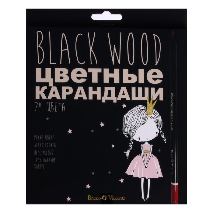 

Карандаши 24 цвета BlackWoodColor, пластиковые, трёхгранные, МИКС