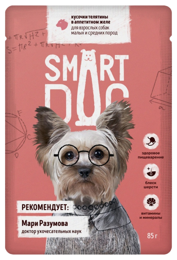 

Влажный корм для собак Smart Dog, кусочки телятины в аппетитном желе, 44шт по 85г