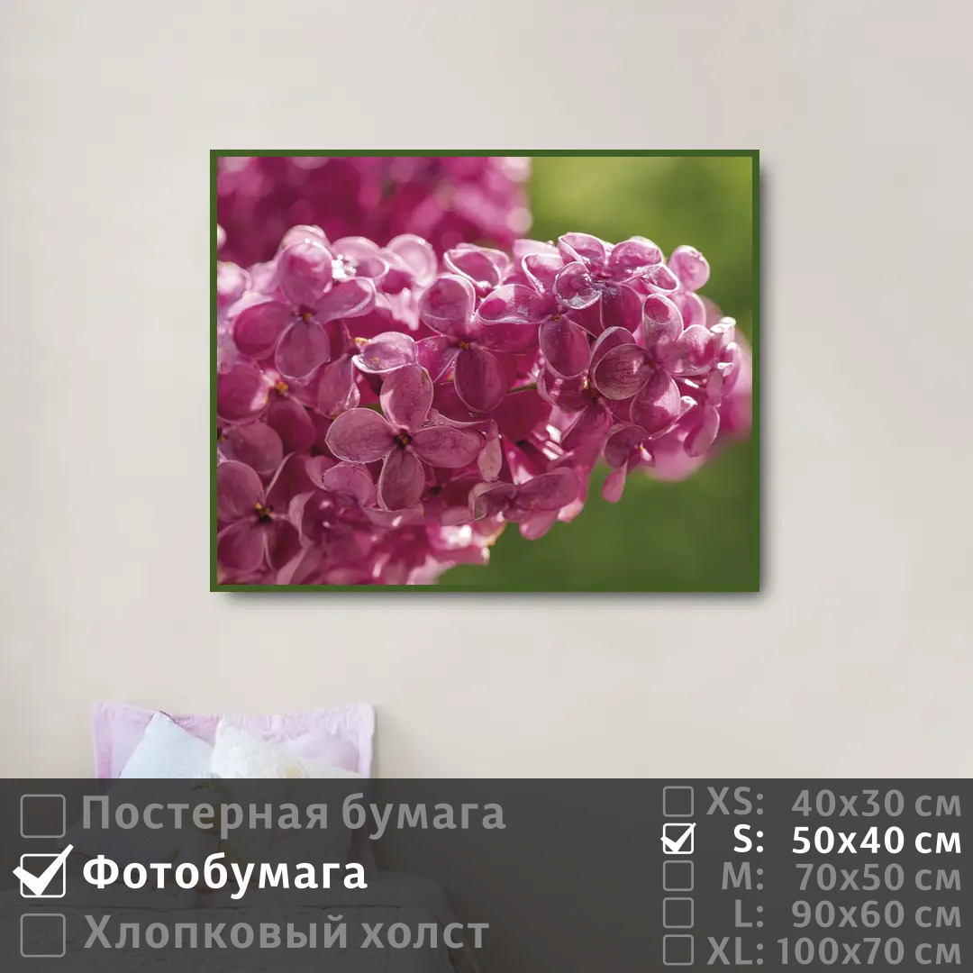 

Постер на фотобумаге ПолиЦентр Ветка сирени с каплями 50х40 см, ВеткаСирениСКаплями