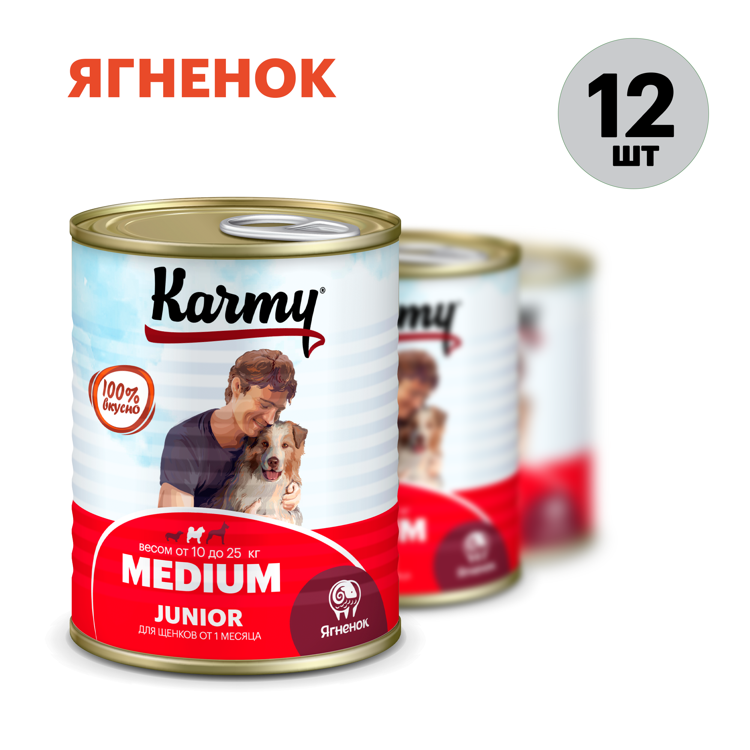 Консервы для щенков KARMY MEDIUM Junior, для крупных пород, ягненок, 12 шт по 340 г