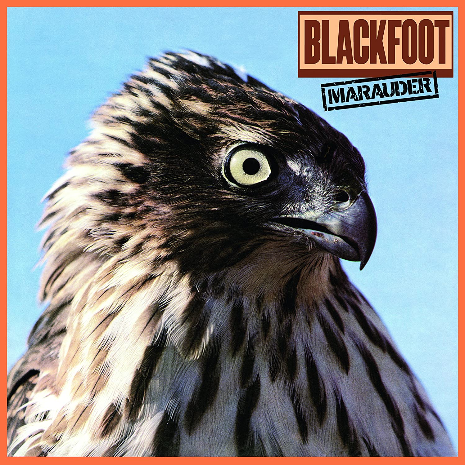 

Blackfoot Marauder (Винил)