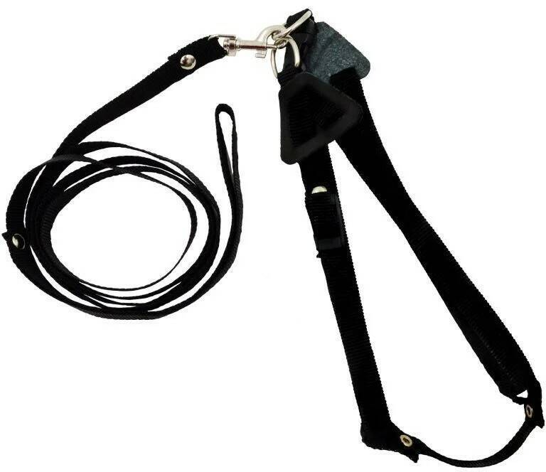 

Комплект амуниции ZooExpress, со шлейкой, капроновый, черный, обхват груди 30-45 см