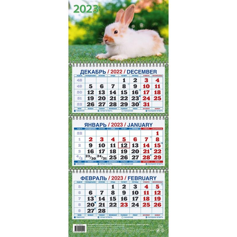 

Календарь настенный 3-х блочный 2023,Симв.год.Вид2,3 спир,195х465,КМ08-23