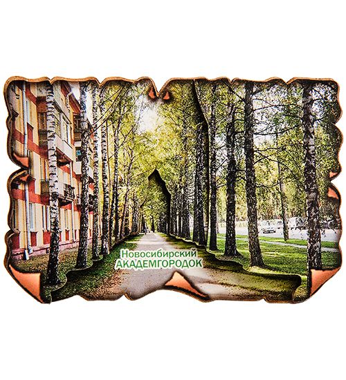 

Магнит Новосибирский Академгородок МТ-06/25 113-402261
