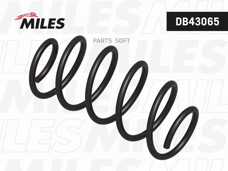 

Пружина Miles DB43065