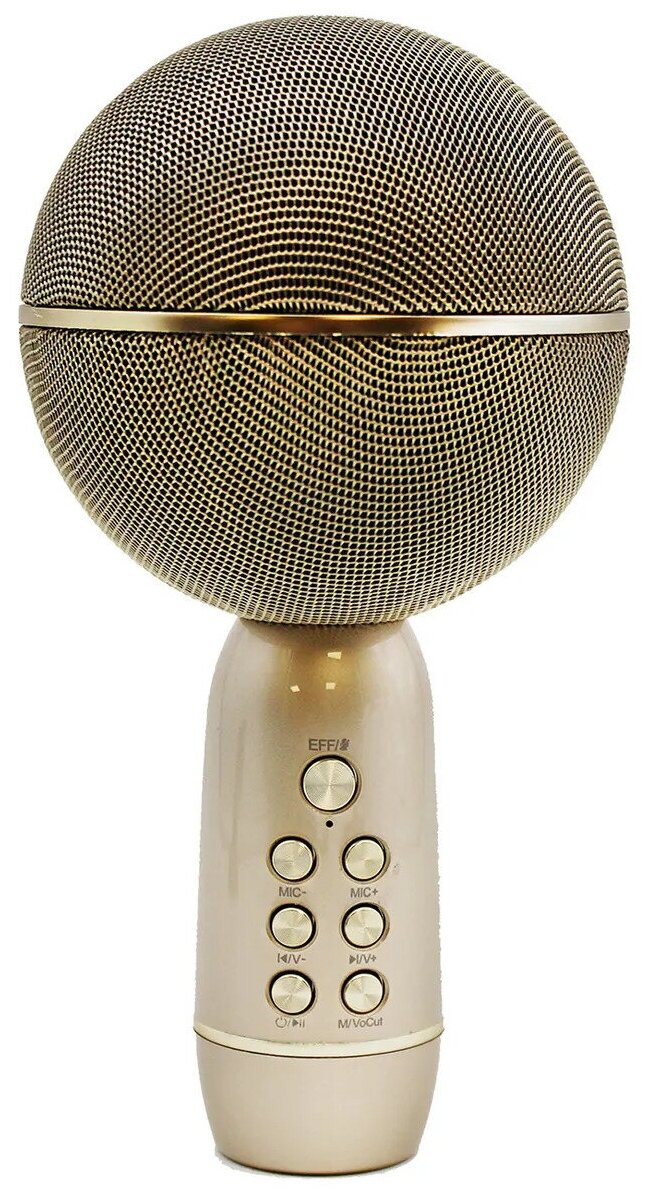 

Микрофон Family Shop Gold, 550-341