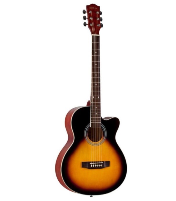 Акустическая гитара Phil Pro AS-4004/3TS