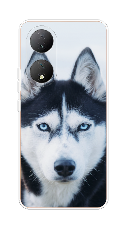 

Чехол на Vivo Y100 "Хаски 2", Синий;белый, 268250-1