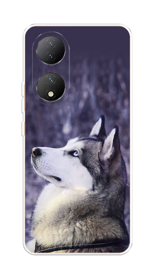 

Чехол на Vivo Y100 "Хаски 1", Фиолетовый;белый, 268250-1