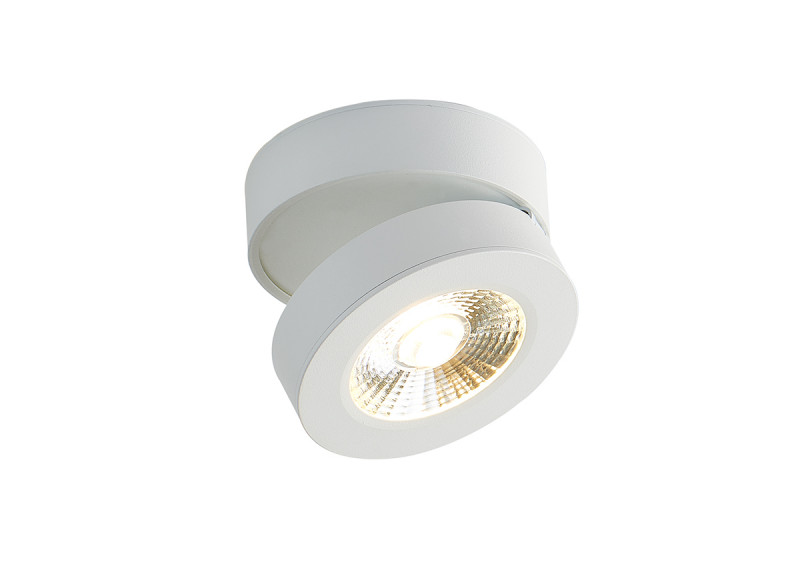 

Накладной светильник Donolux DL18962R12W1W