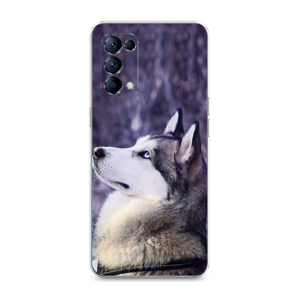 

Чехол для Oppo Reno 5 "Хаски 1", Фиолетовый;белый, 255250-1