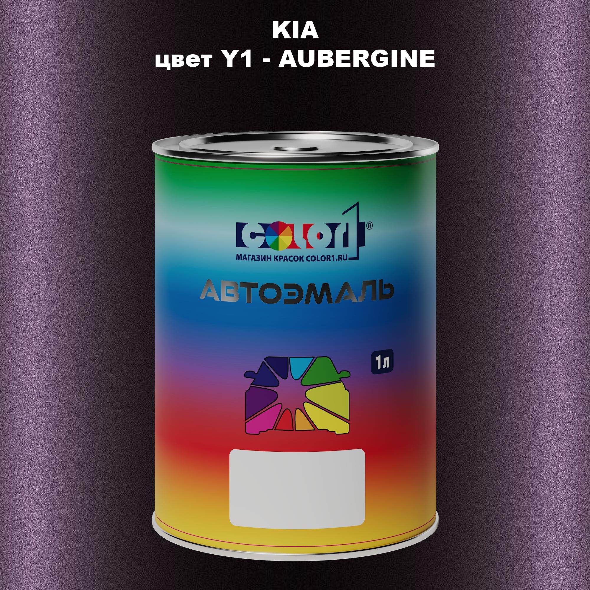 

Автомобильная краска COLOR1 для KIA, цвет Y1 - AUBERGINE, Прозрачный