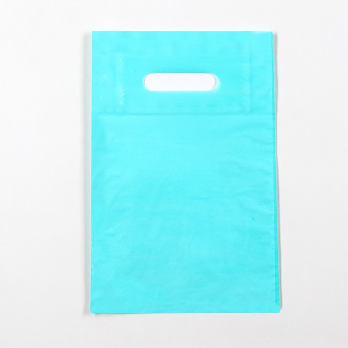 

Пакет полиэтиленовый UPAK LANDс вырубной ручкой, Бирюзовый 20-30 См, 30 мкм(50 шт), Голубой