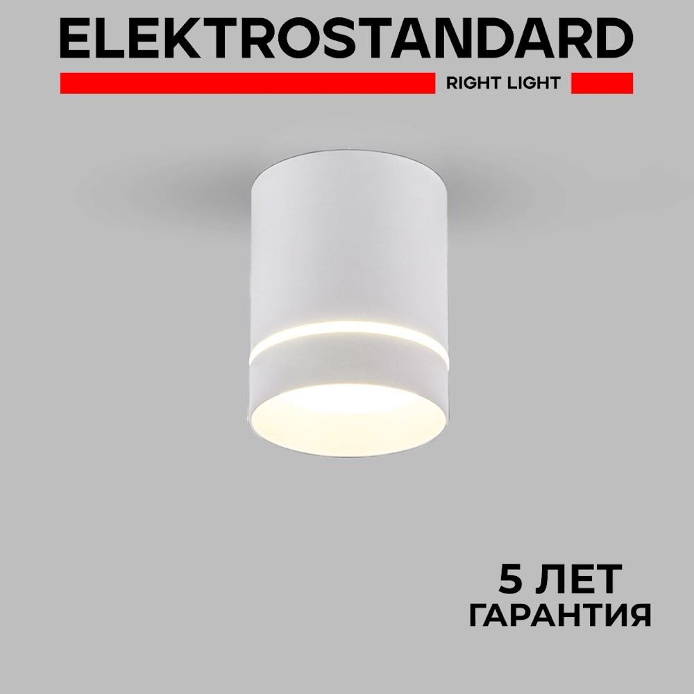 

Накладной светодиодный светильник Elektrostandard Topper DLR021 9W 4200K белый матовый, Topper точка 190923