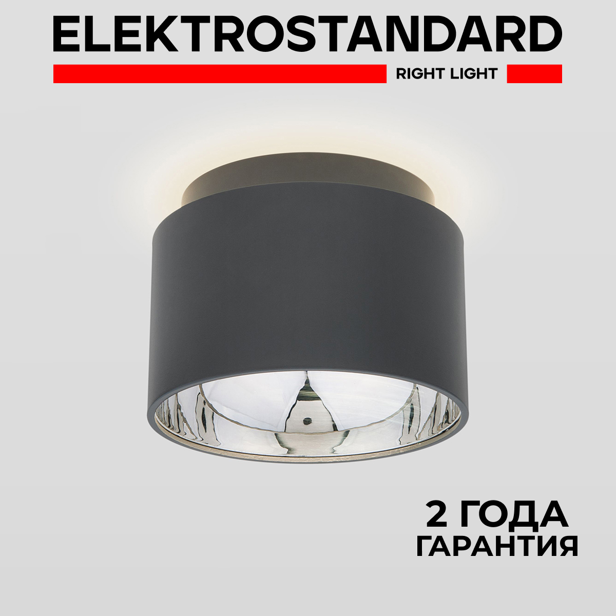 Накладной потолочный светильник Elektrostandard Charlie 1069 GR GX53 графит